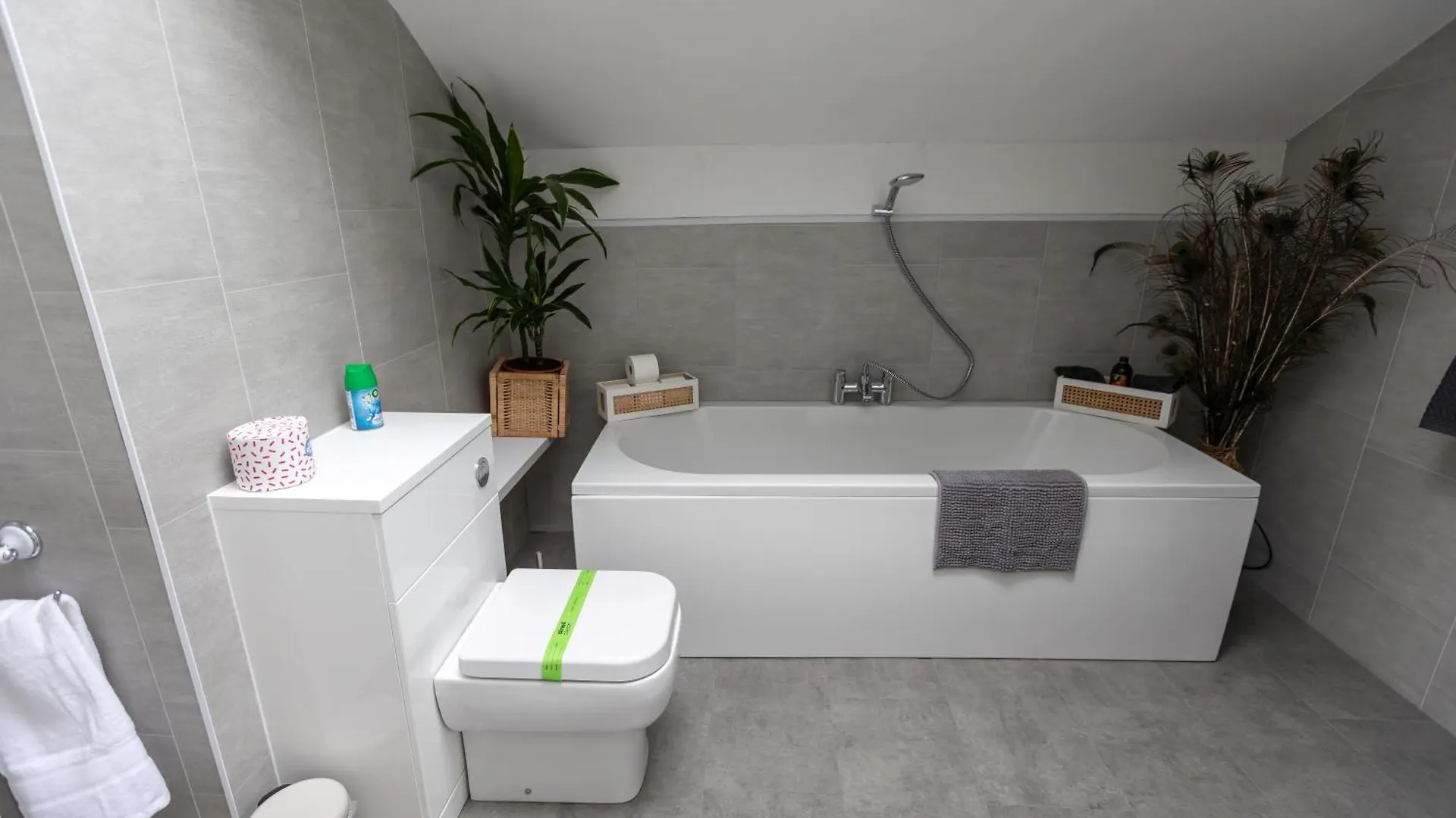 The Amazing Attik Apartment سكيبتون